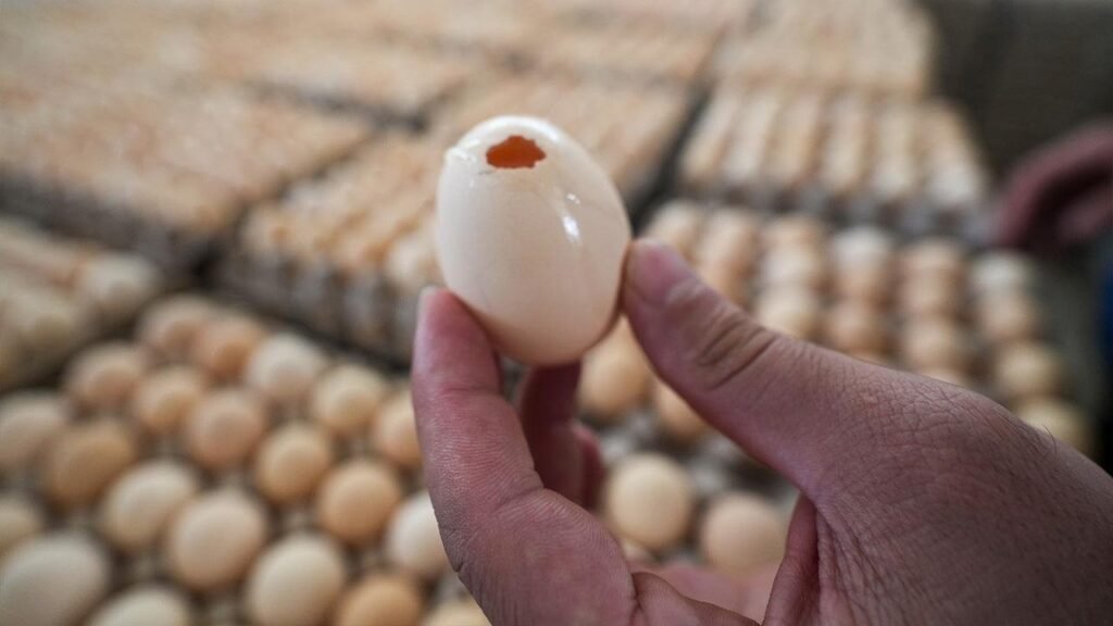 İngiltere’de salmonella salgınında 1 kişi öldü, 207 vaka tespit edildi İngiltere'de salmonella salgınında 1 kişi öldü, 207 vaka tespit edildi