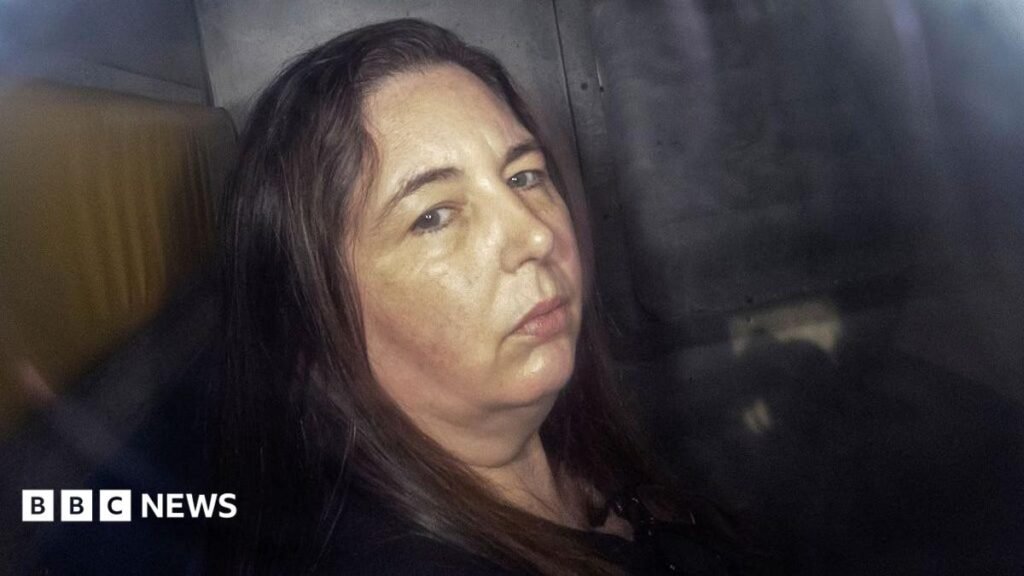 Erin Patterson: ‘Kötü’ otel hatası adil yargılama engelledi, avukatlar mahkemeye söyledi Erin Patterson: 'Kötü' otel hatası adil yargılama engelledi, avukatlar mahkemeye söyledi