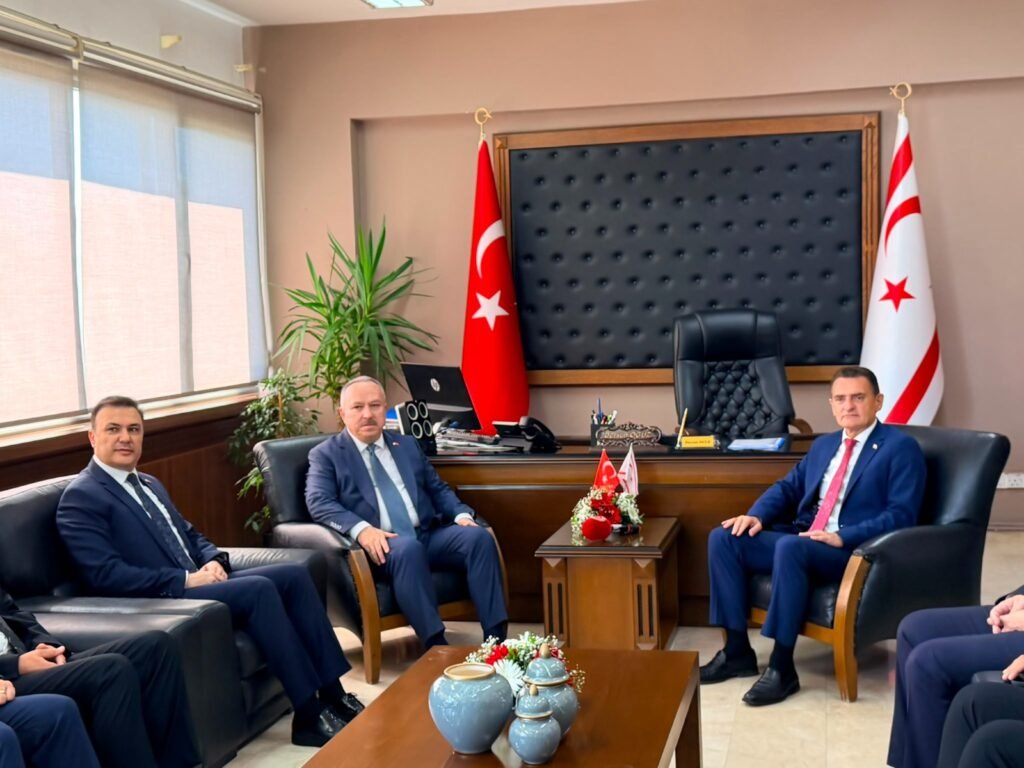 İçişleri Bakanı Oğuz, TC Emniyet Genel Müdürü Ali Fidan’ı kabul etti