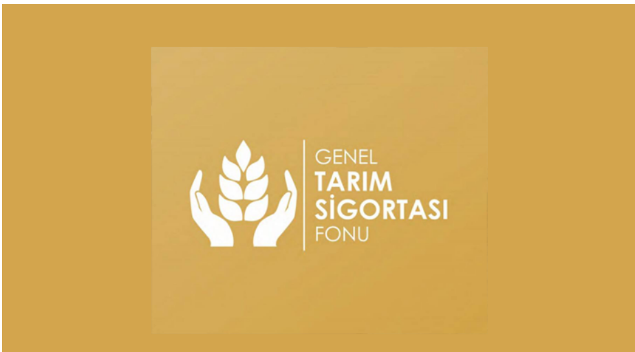 Dolu zararı için 9 üreticiye tazminat ödemeleri başladı Dolu zararı için 9 üreticiye tazminat ödemeleri başladı