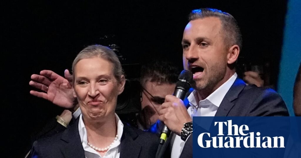 Almanya'nın aşırı sağcı AfD'si Elon Musk'a teşekkür etti