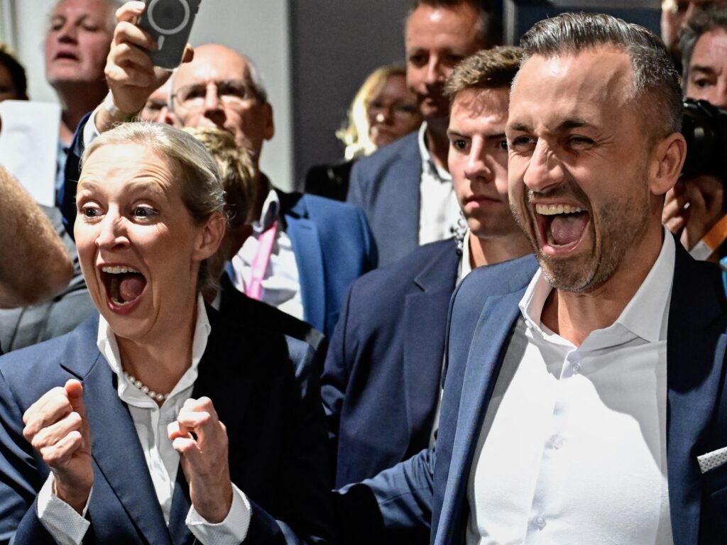 Almanya'nın aşırı sağcı AfD'si Saksonya-Anhalt seçimlerini kazandı ama çoğunluğu bulamadı