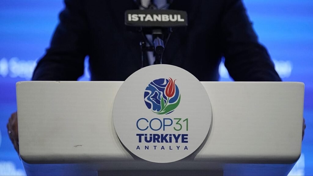 COP31'de Türkiye'nin dünyayı elektriklendirme masterplanı ve uzmanların şüpheleri