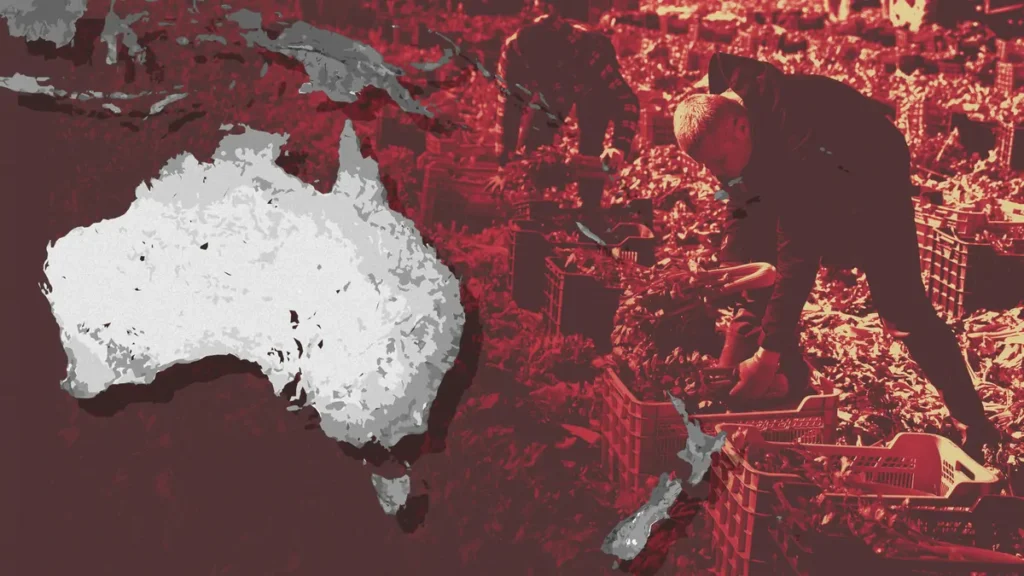 İşçi Partisi, çiftçilere sırt çantalı işçi bulmak için Pasifik adalıları alım yapmalarını önerdi