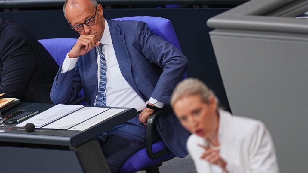 Merz, Bundestag'daki konuşmasında AfD politikasını 'etnik temizlik' olarak nitelendirdi