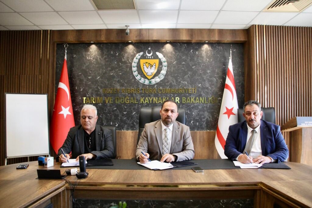 Yukarı Dikmen Kuzeybatı Havzası Deresi’ne betonarme ıslah sekisi yapılıyor