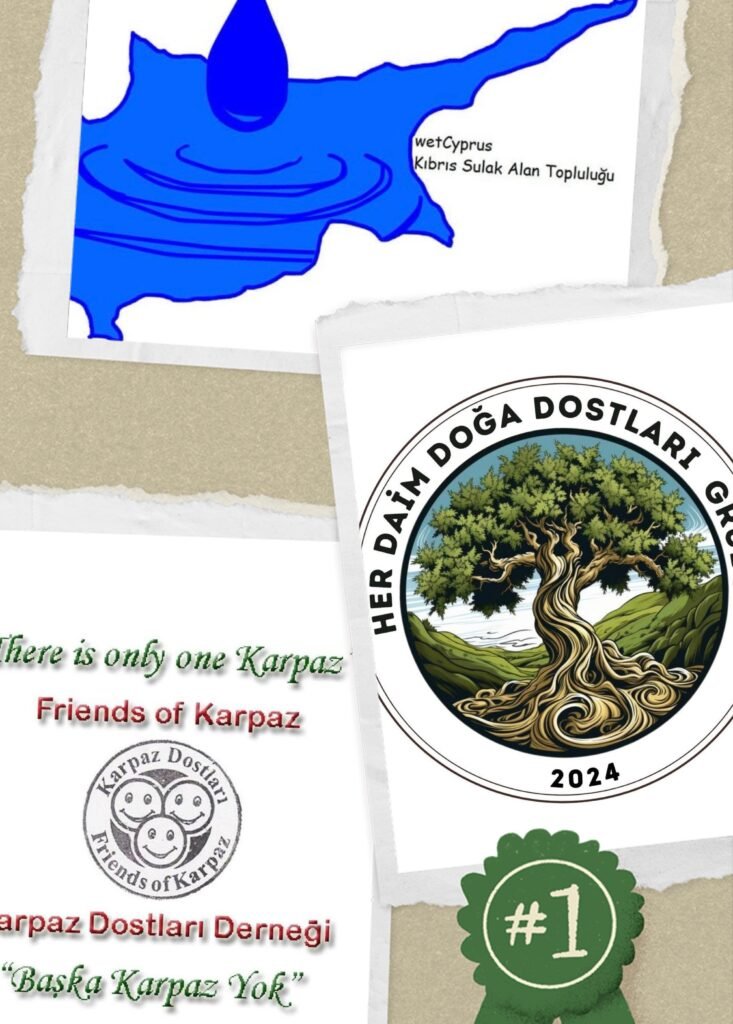 Gazimağusa’daki Yenişehir/Gülseren Sulak Alanı’nı korumak amacıyla yarın etkinlik düzenlenecek Gazimağusa’daki Yenişehir/Gülseren Sulak Alanı’nı korumak amacıyla yarın etkinlik düzenlenecek