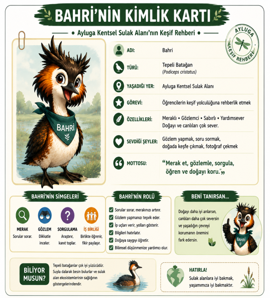 MAKAMER, öğretmenlere yönelik Ayluga Sulak Alanı eğitimi düzenliyor MAKAMER, öğretmenlere yönelik Ayluga Sulak Alanı eğitimi düzenliyor