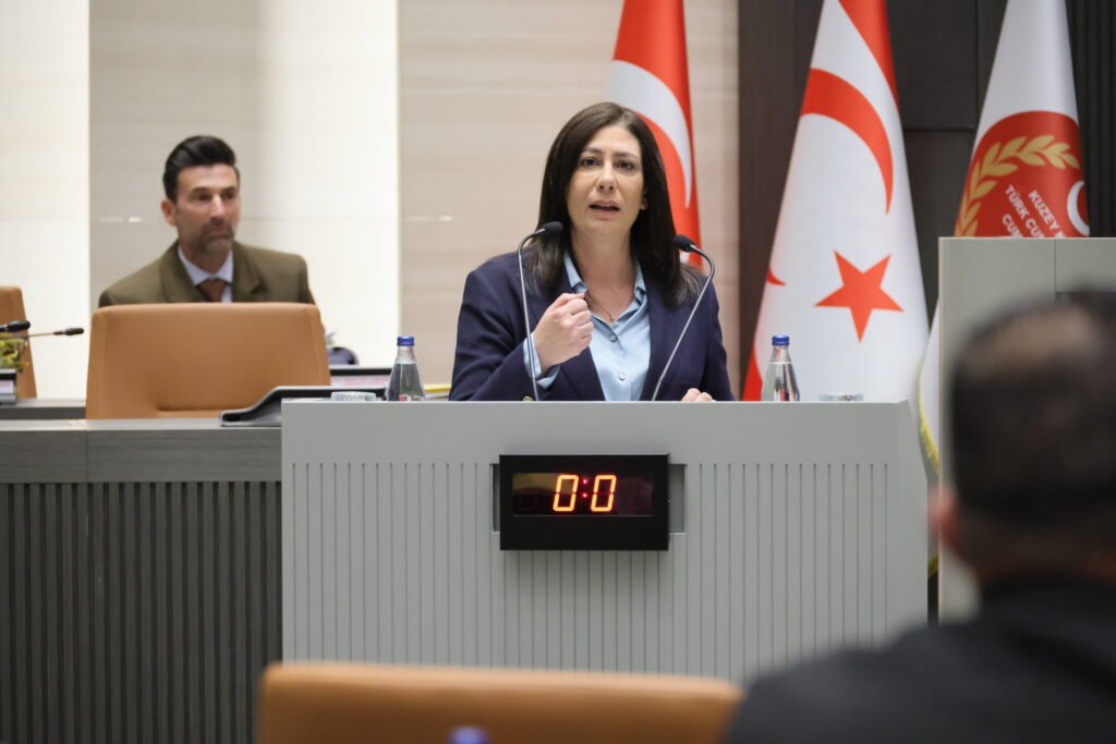İncirli’nin meclis konuşması İncirli'nin meclis konuşması