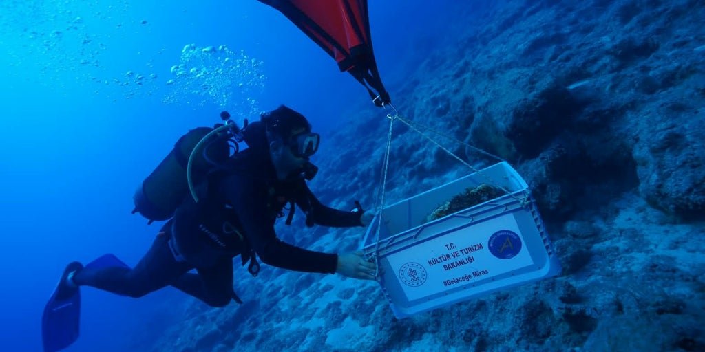 Arkeologlar Türkiye’de yaklaşık 5,000 yıllık gemi enkazı buldu Arkeologlar Türkiye'de yaklaşık 5,000 yıllık gemi enkazı buldu