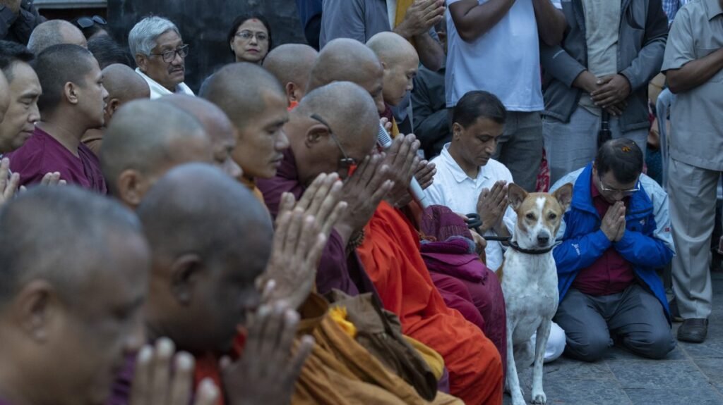 Çin’in Tibet bölgesinde 7.0 büyüklüğünde deprem meydana geldi Çin'in Tibet bölgesinde 7.0 büyüklüğünde deprem meydana geldi