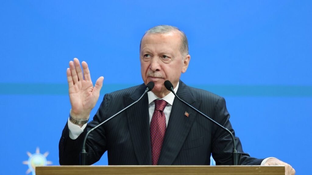 Erdoğan: Türkiye'nin sermaye piyasaları 'açgözlü parazitlerden' arındırılacak
