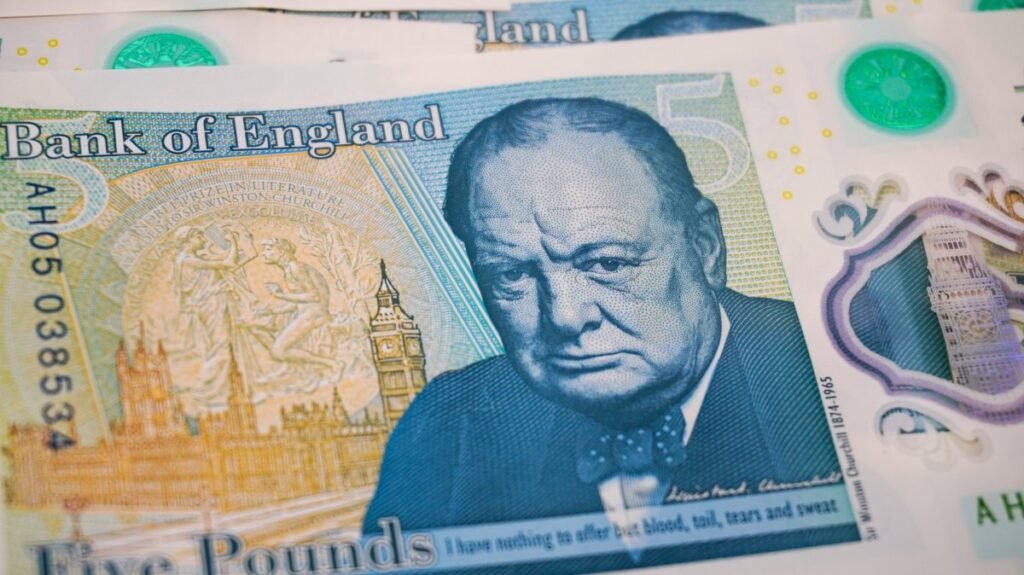 Puffin, baykuş ve kirpi yeni İngiltere banknotlarına seçildi