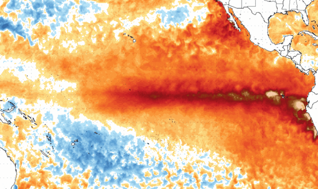 Süper El Niño: Pasifik ısındıkça fenomenin şiddeti güncelleniyor