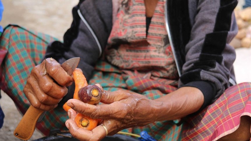 Timor-Leste hükümeti tahliyeleri kadınları orantısız şekilde etkiliyor Timor-Leste hükümeti tahliyeleri kadınları orantısız şekilde etkiliyor