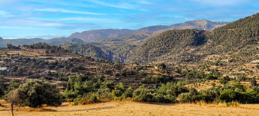 Yeni Zeytin Atlası, Türkiye’de biyolojik çeşitliliğe dost zeytin yetiştirmeyi haritalıyor Yeni Zeytin Atlası, Türkiye'de biyolojik çeşitliliğe dost zeytin yetiştirmeyi haritalıyor