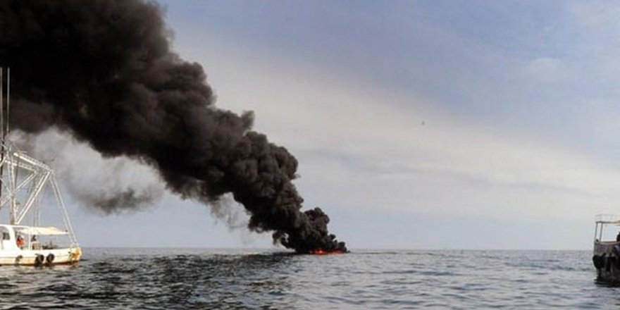 Meksika Körfezi’ndeki petrol kazasından sonra deniz canlıları yüzde 60 azaldı Meksika Körfezi'ndeki petrol kazasından sonra deniz canlıları yüzde 60 azaldı